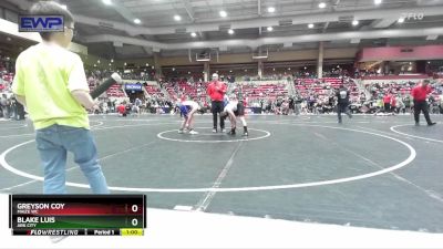 110 lbs Semifinal - Greyson Coy, Maize WC vs Blake Luis, Ark City
