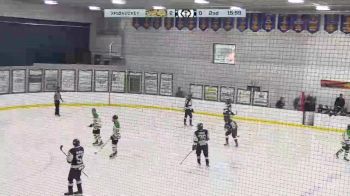 Replay: Home - 2024 Cougars vs Huskies | Nov 2 @ 4 PM