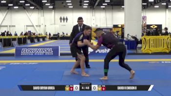 DAVID R EMISON II vs DAVID BRYAN URREA 2025 World IBJJF Jiu-Jitsu No-Gi Championship