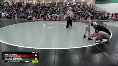 45 lbs Round 1 - Violet Jones, Honey Badger Wrestling vs William Springer, Hayleighs Hammers Wrestling