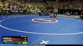 138 lbs Champ. Round 1 - Camden Pye, Rockwood Summit vs Noah Rogers, Willard