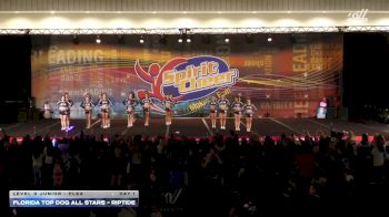 Florida Top Dog All Stars - Riptide [2025 L3 Junior - Flex Day 1] 2025 Spirit Cheer Dance Grand Nationals & Cheer Nationals