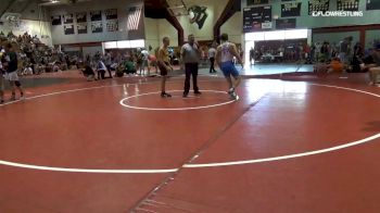 132 lbs Round Of 16 - Gio Demetrikopoulos, Tn vs Raymond Goode, Va