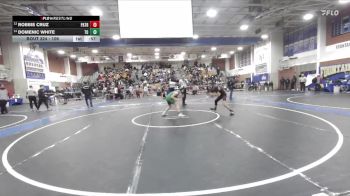 106 lbs Cons. Round 2 - Domenic White, Thousand Oaks vs Robbie Cruz, Patriot
