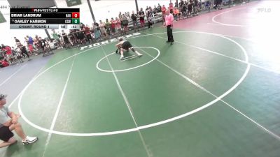 126-140 lbs Champ. Round 1 - Oakley Harmon, Crawford County WC vs Briar Landrum, Hannibal