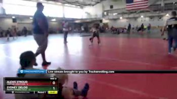 117 lbs Round 2 (4 Team) - Sydney DeLois, Indiana INFERNO GOLD vs Alexis Stroud, Youtube Wrestlers