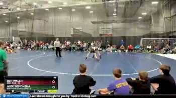 95 lbs Round 1 (4 Team) - Alex Siemonsma, South Dakota Blizzard vs Ben Walsh, Iowa Blue
