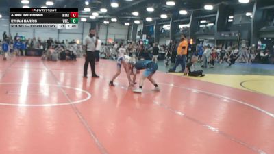 96 lbs Round 5 - 3:00pm Friday - Adam Bachmann, Mat Assassins vs Ethan Harris, West Coast Elite