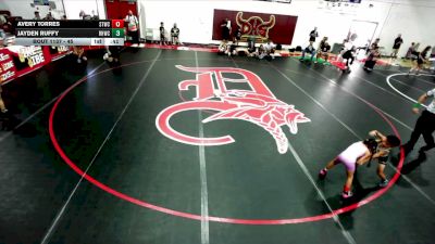 45 lbs Round 3 - Avery Torres, SoCal Hammers vs Jayden Ruffy, Rough House Wrestling Club