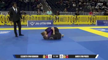 Amber Lynn Ponzio vs Elizabeth Lynn Robinson 2025 Pan IBJJF Jiu-Jitsu No-Gi Championship
