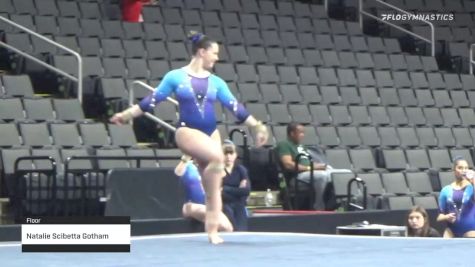 Natalie Scibetta Gotham - Floor