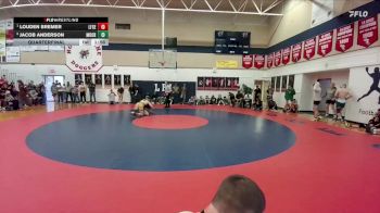 165 lbs Quarterfinal - Louden Bremer, Lingle-Ft. Laramie/Southeast vs Jacob Anderson, Moorcroft