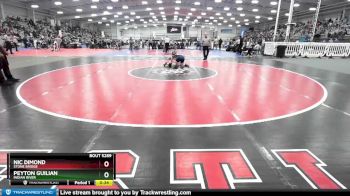 132 lbs Cons. Round 3 - Peyton Guilian, Indian River vs Nic Dimond, Stone Bridge