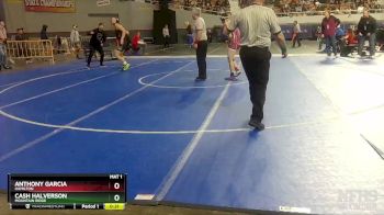 D1-138 lbs Cons. Round 3 - Cash Halverson, Mountain Ridge vs Anthony Garcia, Hamilton