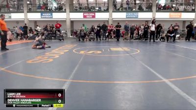 95-102 lbs Round 4 - Liam Lee, Built By Brunson vs Denver Hanabarger, Sauk Valley Wrestling