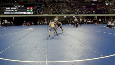 141 lbs Cons. Semi - Jalen Schropp, Loras vs Jared Gallub, Nebraska Wesleyan