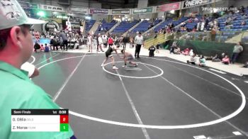 113 lbs Semifinal - Dale OBlia, Goldman's W.A.R vs Zach Morse, Team Champs