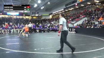 113 lbs Semis - Carter Ham, Lake Mills vs Carver Hinz, Jesup