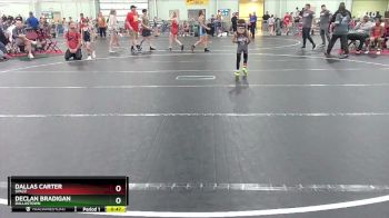 50 lbs Cons. Round 3 - Declan Bradigan, Dallastown vs Dallas Carter, Spazz