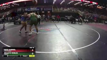 2A 285 lbs Semifinal - Brainys Robles, Liberty vs Nate Gabriel, Auburndale