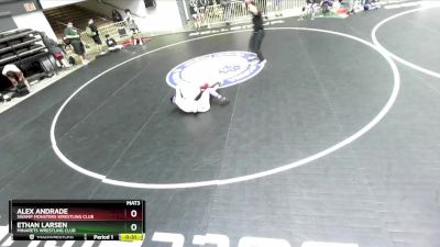 126 lbs Cons. Round 5 - Alex Andrade, Swamp Monsters Wrestling Club vs Ethan Larsen, Minarets Wrestling Club