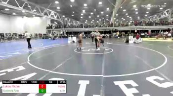 133 lbs Rr Rnd 3 - Lukas Richie, Penn vs Satoshi Abe, Leh