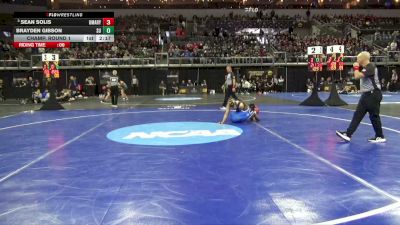 141 lbs Champ. Round 1 - Sean Solis, UMary vs Brayden Gibson, Shorter