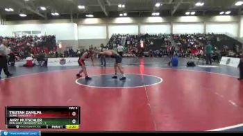 149 lbs Placement Matches (16 Team) - Avry Mutschler, Reinhardt University (GA) vs Tristan Zamilpa, Doane University