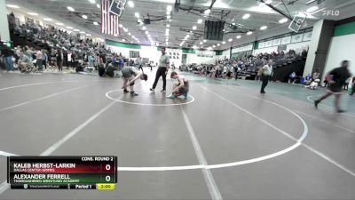 175 lbs Cons. Round 2 - Alexander Ferrell, Thoroughbred Wrestling Academy vs Kaleb Herbst-larkin, Dallas Center-Grimes