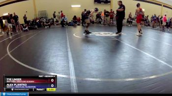 132 lbs 1st Place Match - Tye Linser, Red Cobra Wrestling Academy vs Alex Plahitko, Roncalli Wrestling Foundation