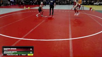 105 lbs Quarterfinal - Easton Griggs, Rocori vs Erickson Betty, Rochester Mayo