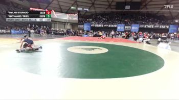 Boys 4A 113 lbs Quarterfinal - Nathaniel Trieu, Kennedy Catholic vs Dylan Sternod, South Kitsap