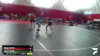 113 lbs Round 2 (4 Team) - Regan Wood, Cambridge-Isanti White vs Finley Hilyar, Elk River