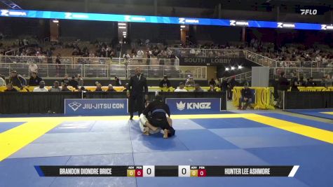 Hunter Lee Ashmore vs Brandon Diondre Brice 2025 Pan Jiu Jitsu IBJJF Championship