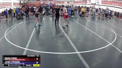 132 lbs Cons. Round 1 - Gavin Cheek, Nebraska Elite Wrestling Club vs James Strange, Millard South Wrestling Club