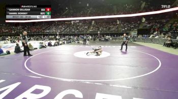 Quarterfinal - Daniel Dorsey, Mount Vernon/Plankinton/Corsica-Stickney vs Gannon Gilligan, Kingsbury County