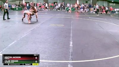 125 lbs Semifinal - Ashton Jackson, Purdue vs Caleb Weiand, Michigan State