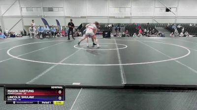 190 lbs Semis & 3rd Wb (16 Team) - Mason Hartung, Pennsylvania vs Lincoln Shulaw, Ohio Red