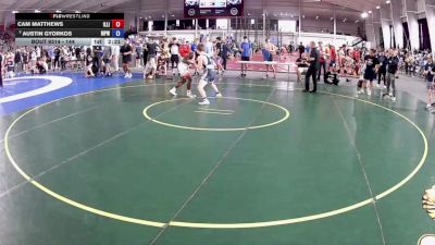 144 lbs Quarters - Cam Matthews, Illinois vs Austin Gyorkos, Michigan Premier WC
