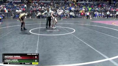110 lbs Cons. Round 3 - Anthony Farina, Elevate Wrestling Academy vs Logan Aaron, Cumberland Youth WC