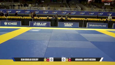 Abraham J. Marte Messina vs Sean Douglas Goolsby 2026 Pan Jiu Jitsu IBJJF Championship
