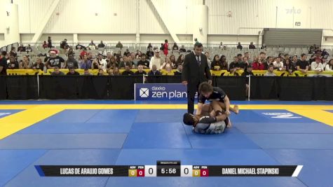 Daniel Michael Stapinski vs Lucas De Araujo Gomes 2025 World IBJJF Jiu-Jitsu No-Gi Championship