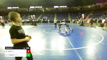 138 lbs Consi Of 4 - Raffaella Ghelfi, Lexington vs Solimary Cruz-Sedan, Springfield Central (W)