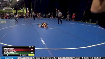 75 lbs Round 3 - Landon Kratt, Summit Wrestling Academy vs Tate Weber, Hudson Pirate Elite