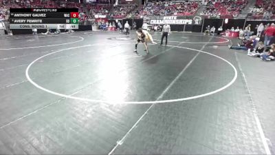 D1-132 lbs Cons. Round 1 - Anthony Galvez, West Allis Central vs Avery Femrite, Beaver Dam