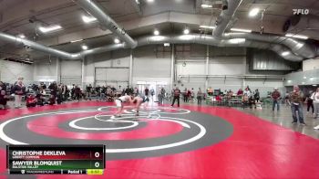 138 lbs Cons. Round 1 - Sawyer Blomquist, Ralston Valley vs Christophe Dekleva, Liberty Common