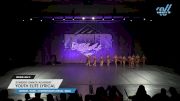 Synergy Dance Academy - Youth Elite Lyrical [2025 Youth - Contemporary/Lyrical - Small Day 2] 2025 Power Dance Grand Nationals