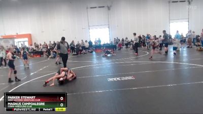 80 lbs Semifinal - Parker Stewart, West Wateree Wrestling Club vs Magnus Campoalegre, Cobra Wrestling Club