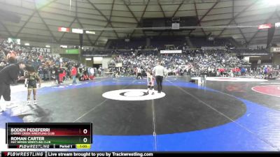 59 lbs Champ. Round 2 - Roman Carter, Mat Demon Wrestling Club vs Boden Pedeferri, Cherry Creek Wrestling Club