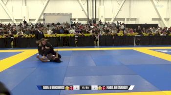 Pamela Jean Gavronsky vs Gabriela De Miranda Barroso 2024 World IBJJF Jiu-Jitsu No-Gi Championship